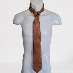 DiBanGu 100% silk Orange Paisley Mens Neck Tie